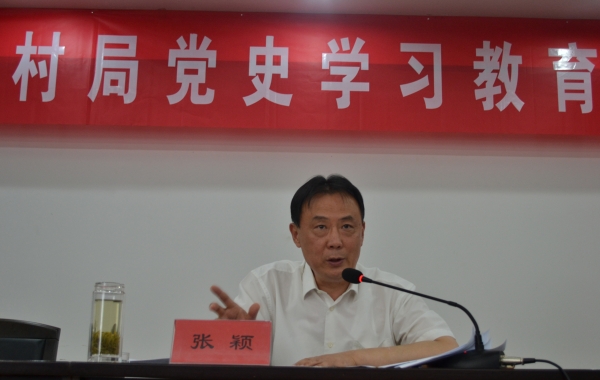 张颖以"从百年党史中汲取力量,奋力开创乡村振兴工作新局面"为题,重点