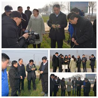 泰安市农业农村局副局长王民,农技站有关同志陪同活动.